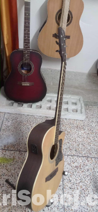 AS semi acoustic guiter